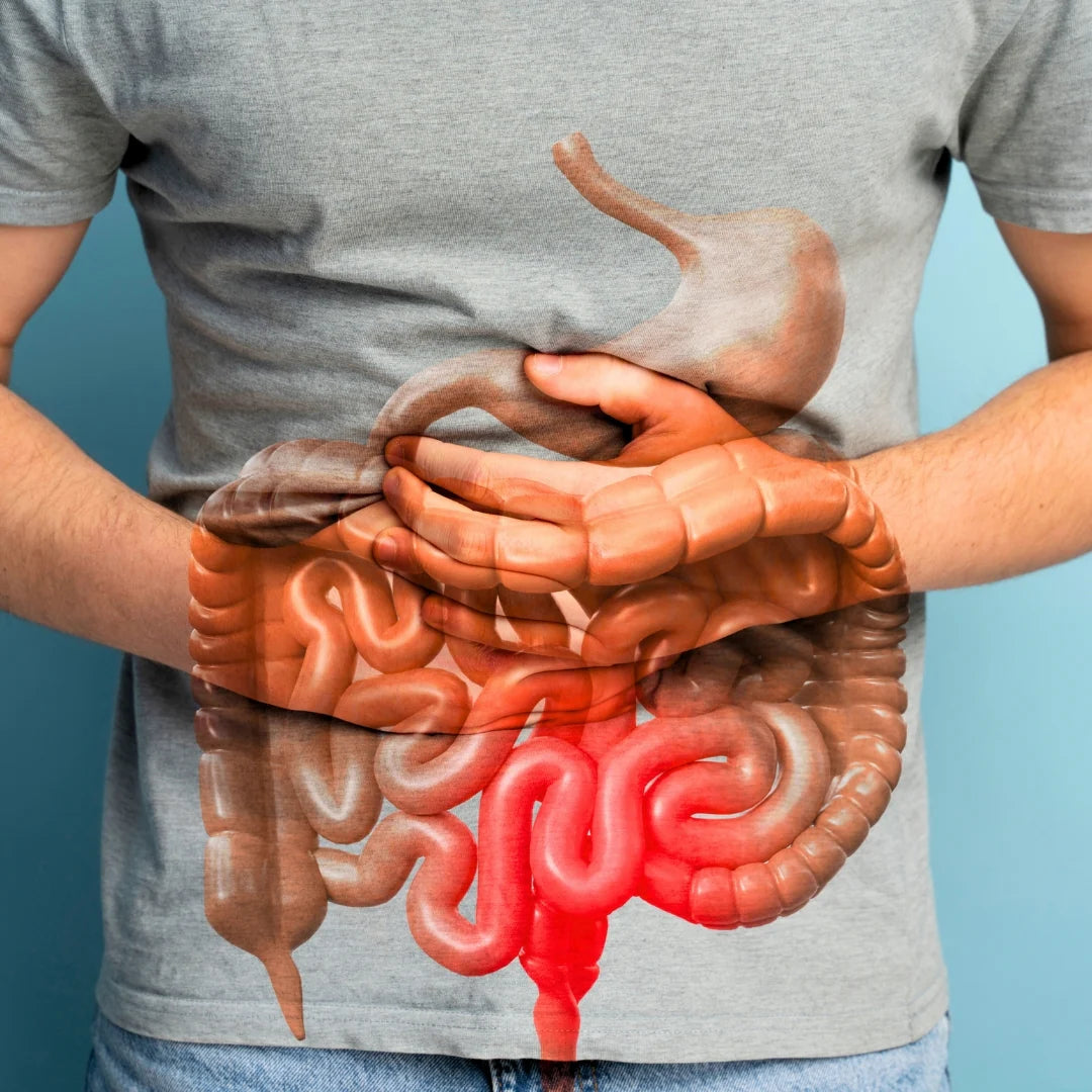 15-Daagse Detox – Ondersteuning voor darmen en colon | Cafeïnevrij | Geavanceerde formule met senna, cascara sagrada & psylliumvezels | Non-GMO | 30 capsules